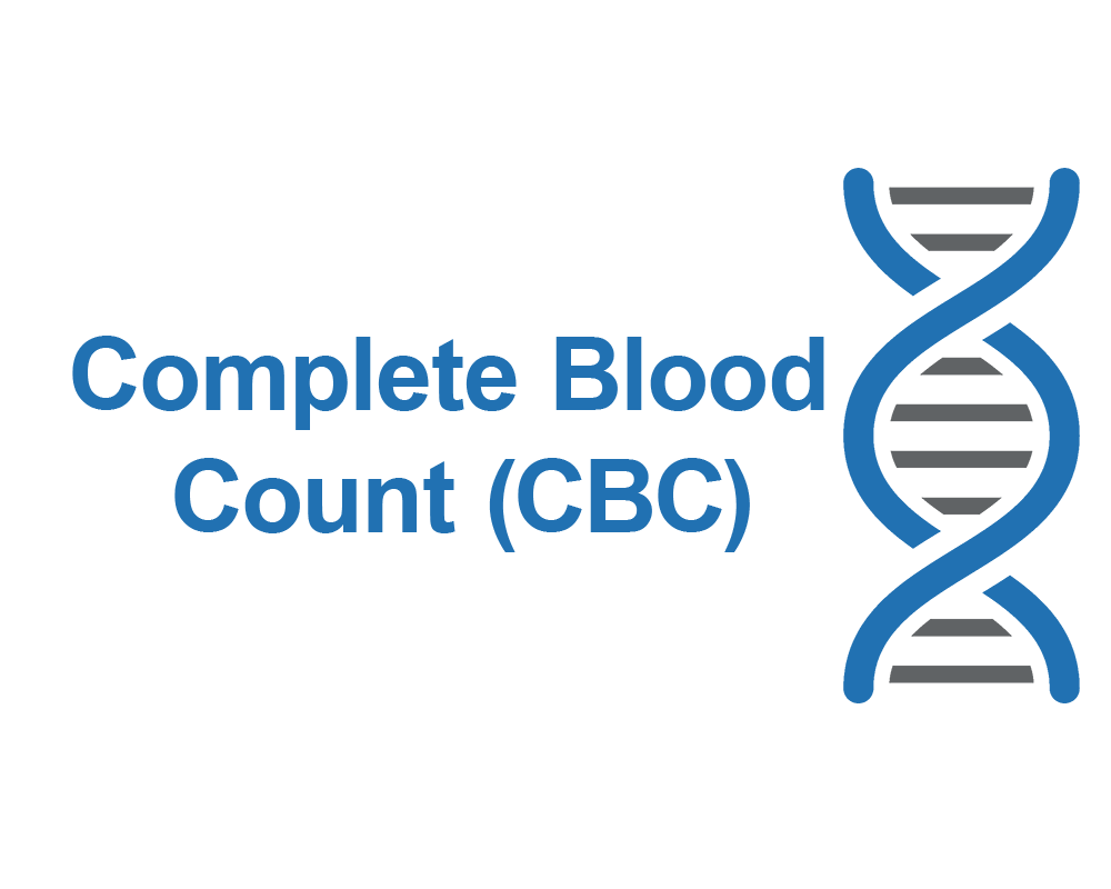 Complete Blood Count (CBC)
