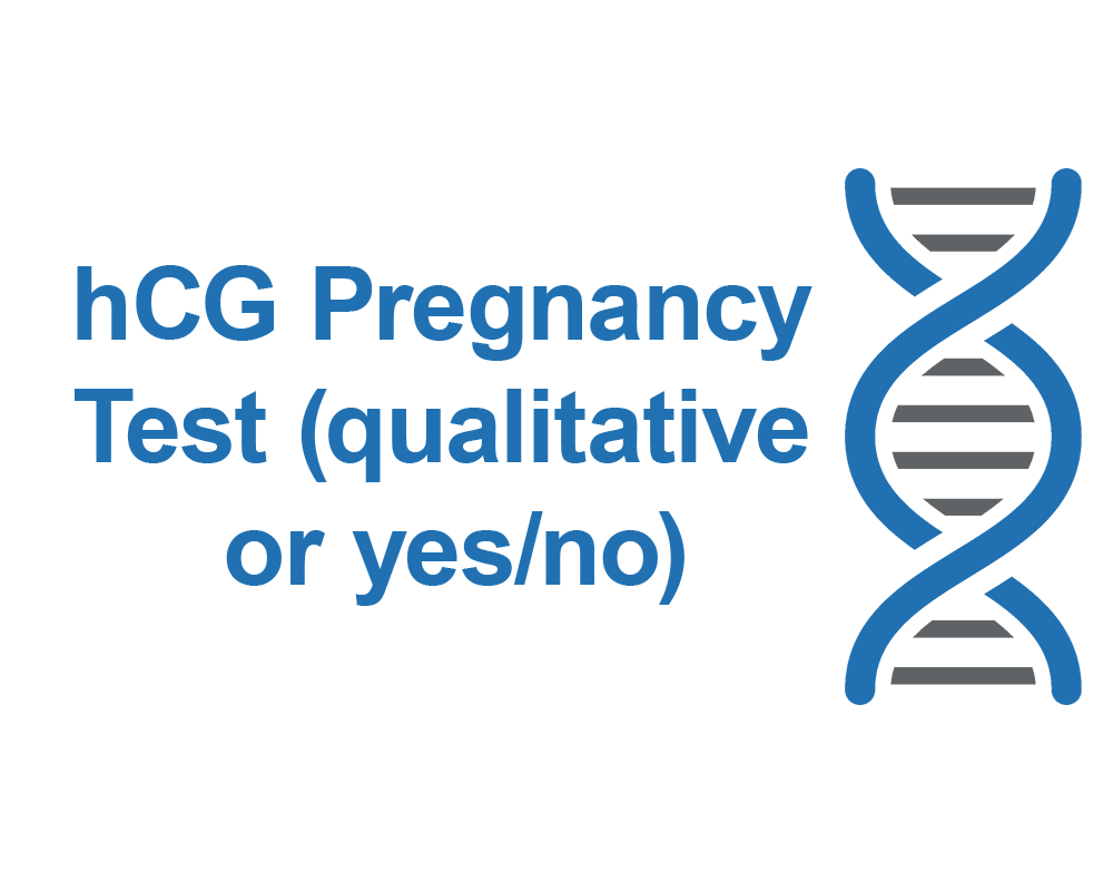 hCG Pregnancy Test (Qualitative or yes/no)