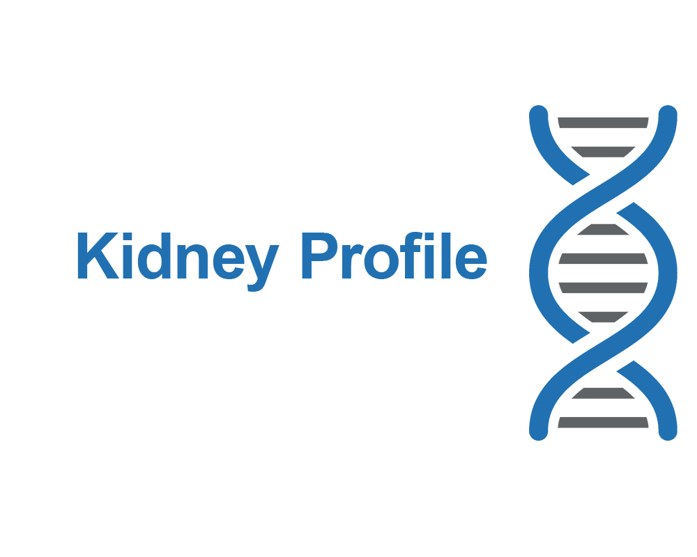 Kidney Profile