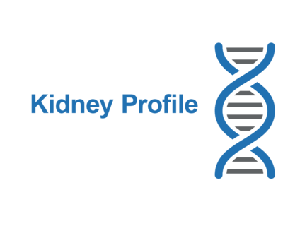 Kidney Profile