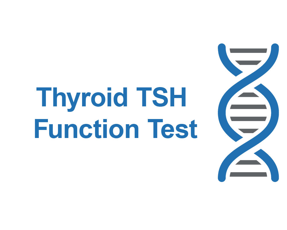 Thyroid TSH Function Test