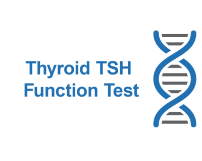 Thyroid TSH Function Test Thyroid TSH Function Test