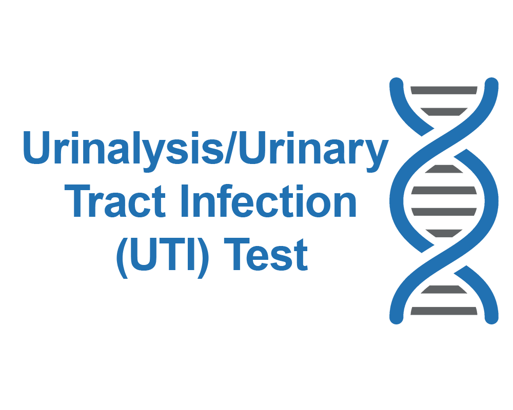 Urinalysis / Urinary Tract Infection (UTI) Test