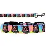 Momma Bear Small to XLarge Nylon Dog Cat Nylon Collar And/or Leash