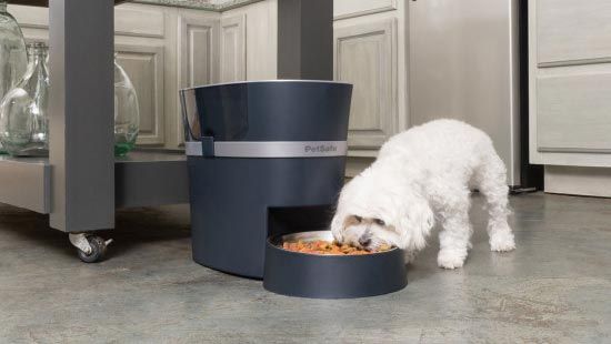PetSafe Smart Automatic Dog and Cat Feeder Wi-Fi Enabled