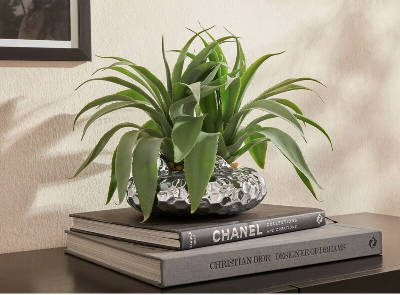 Kunstpflanze Agatelo Agave, Guido Maria Kretschmer Home&Living, Höhe 25 cm, Sukkulente, im Topf Kunstpflanze Agatelo Agave, Guido Maria Kretschmer Home&Living, Höhe 25 cm, Sukkulente, im Topf