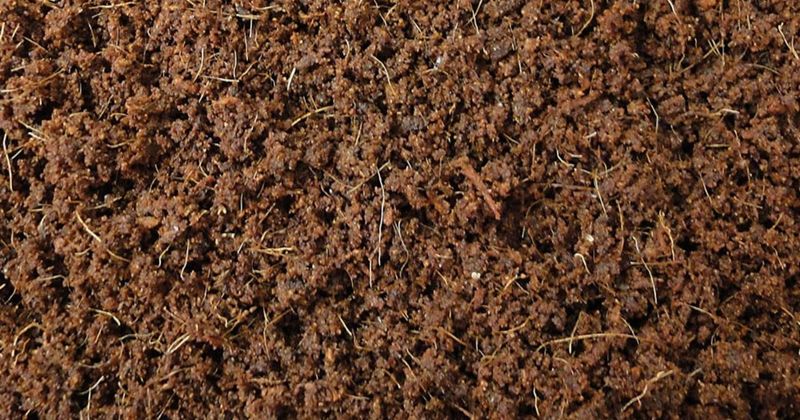 Kokoshumusziegel für Pflanzen - ca.180 Liter Quellerde/Kokosziegel aus Kokosfaser zur Anzucht von Pflanzen - natürliche Kokoserde als Alternative zur herkömmlichen Blumenerde (650g, 20) Kokoshumusziegel für Pflanzen - ca.180 Liter Quellerde/Kokosziegel aus Kokosfaser zur Anzucht von Pflanzen - natürliche Kokoserde als Alternative zur herkömmlichen Blumenerde (650g, 20)