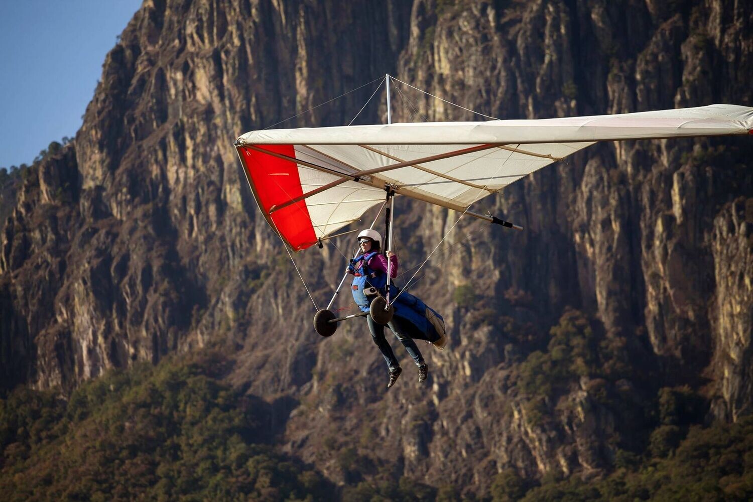 Wills Wing Alpha