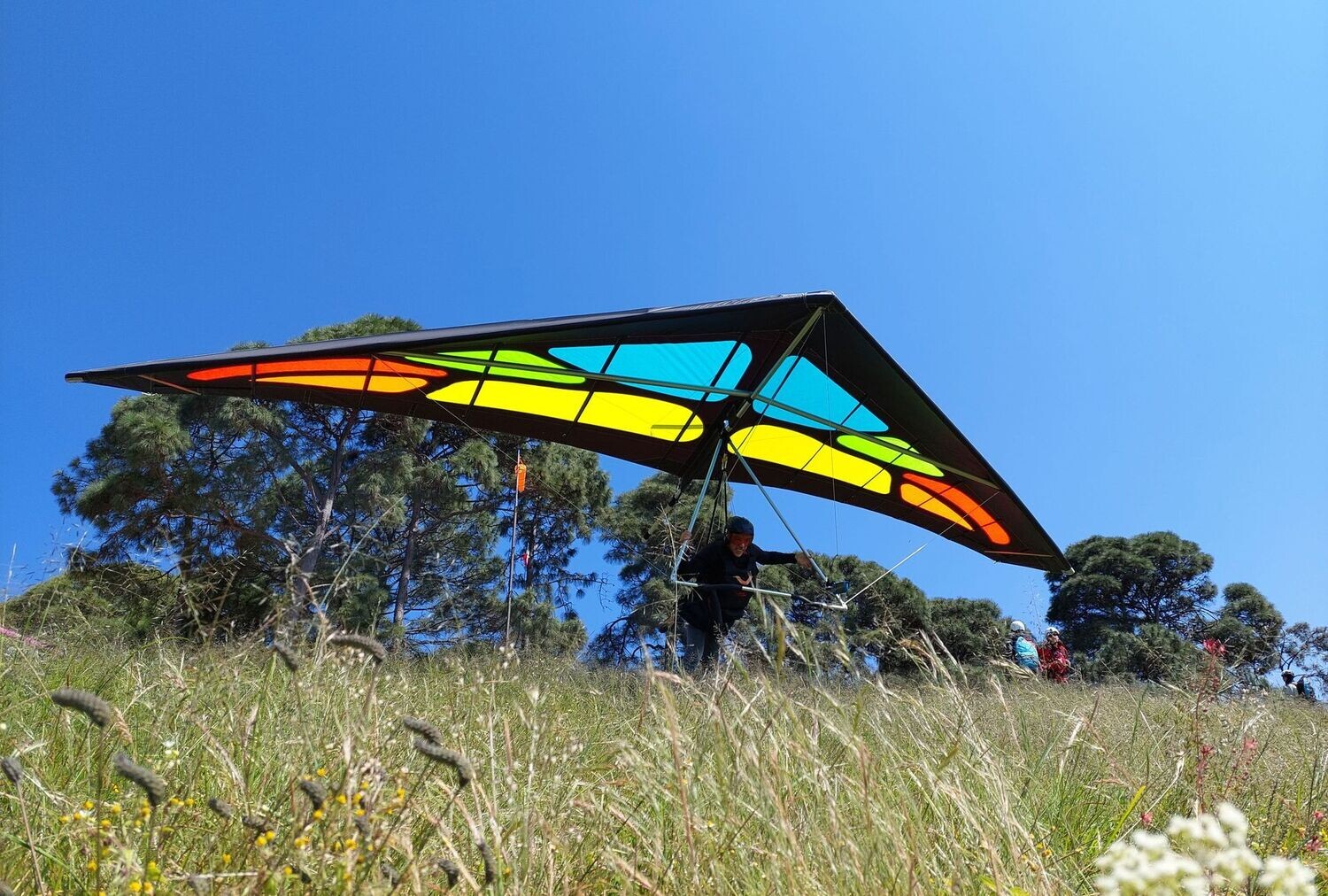 Wills Wing Falcon  4