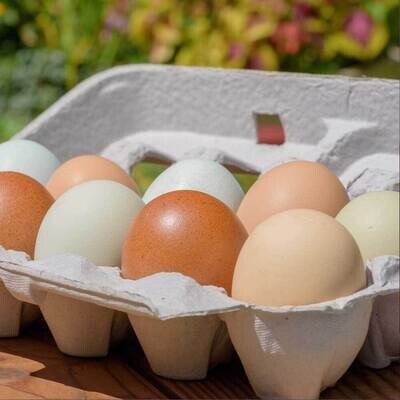 One Dozen Grade A Eggs