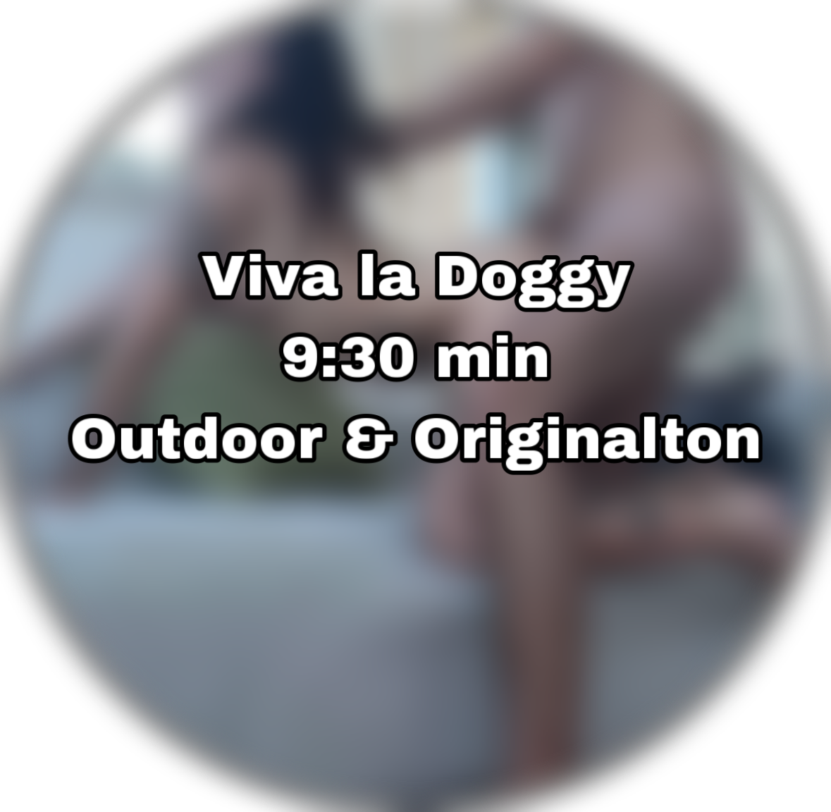 Video 29 - 9:30 - Viva La Doggy
