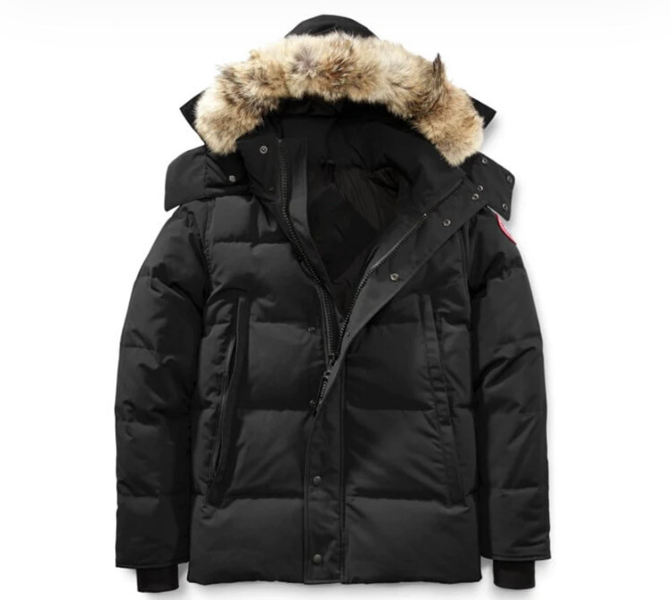 Canada Goose