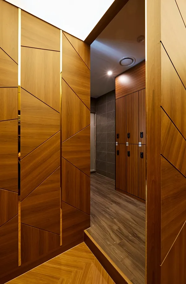 modern door-أبواب عصريه