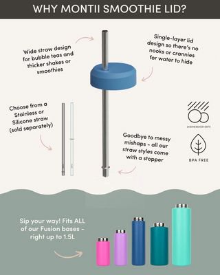 Smoothie Stainless Straw - 350ml