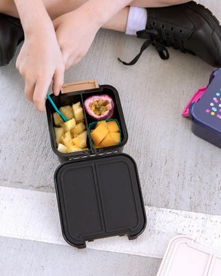 MontiiCo Snack Box  - 2 compartment Dinosaur Land