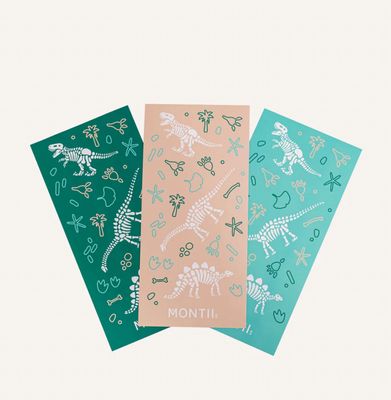 Waterproof Sticker Sets – Dinosaur Land