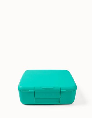Feast Lunchbox – 4 compartments – Mojito