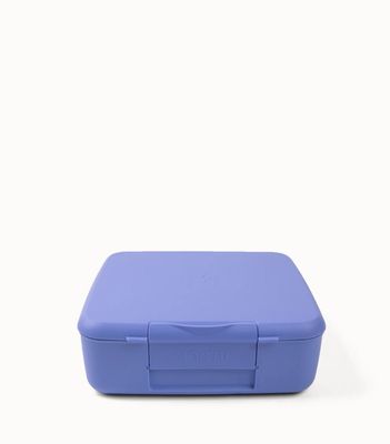 Feast Lunchbox – 4 compartments – Splash
