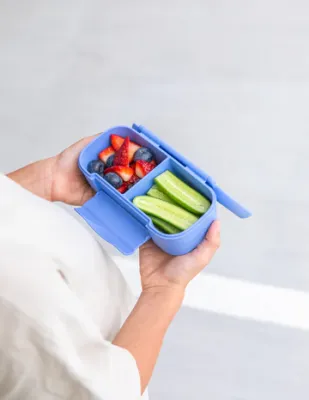 Snack Lunch Box- Splash