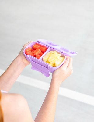 Snack Lunch Box- Lilac