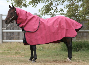 Pink Lined Canvas Rugs
