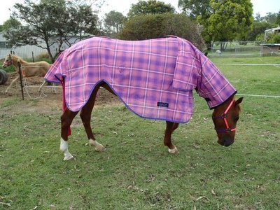 Broodmare Nursing Rug