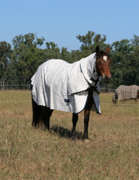 Summer Breeze Poly/Cotton Double Ripstop