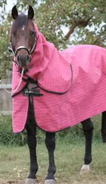 Pink Unlined Canvas Rugs