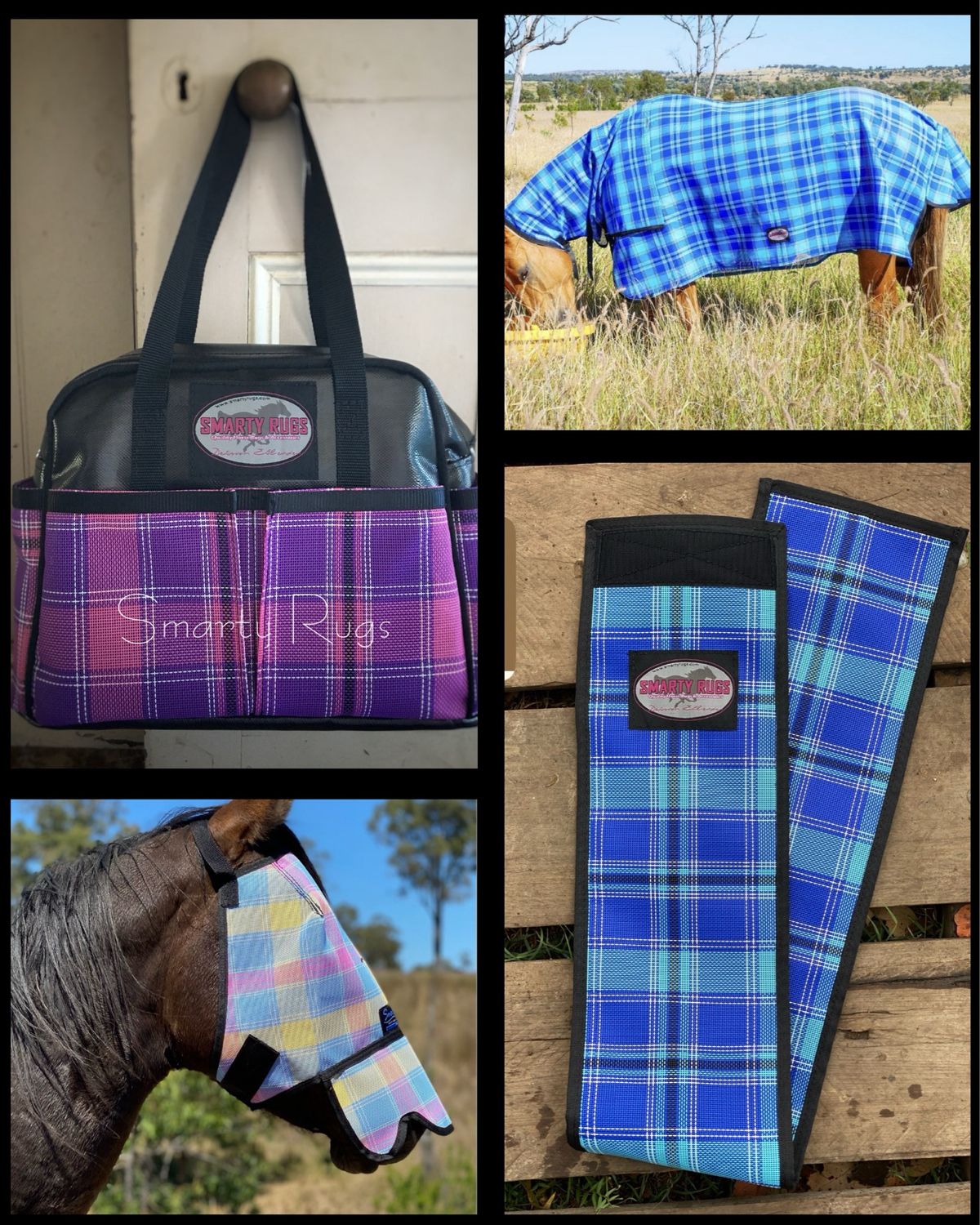 Smarty Starter Pack