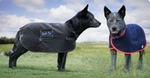 Dog Rugs