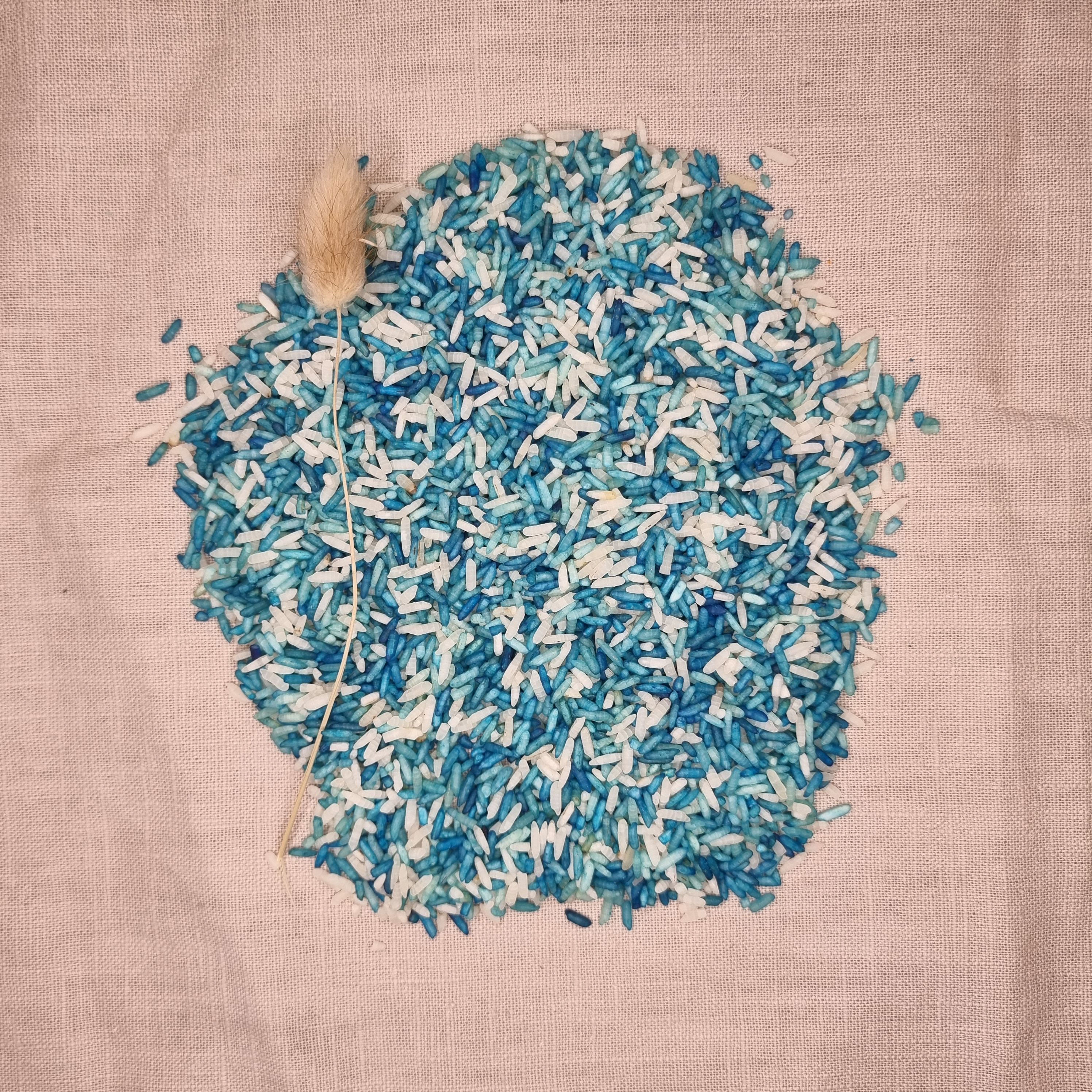 Grennn | Speelrijst Oceaan