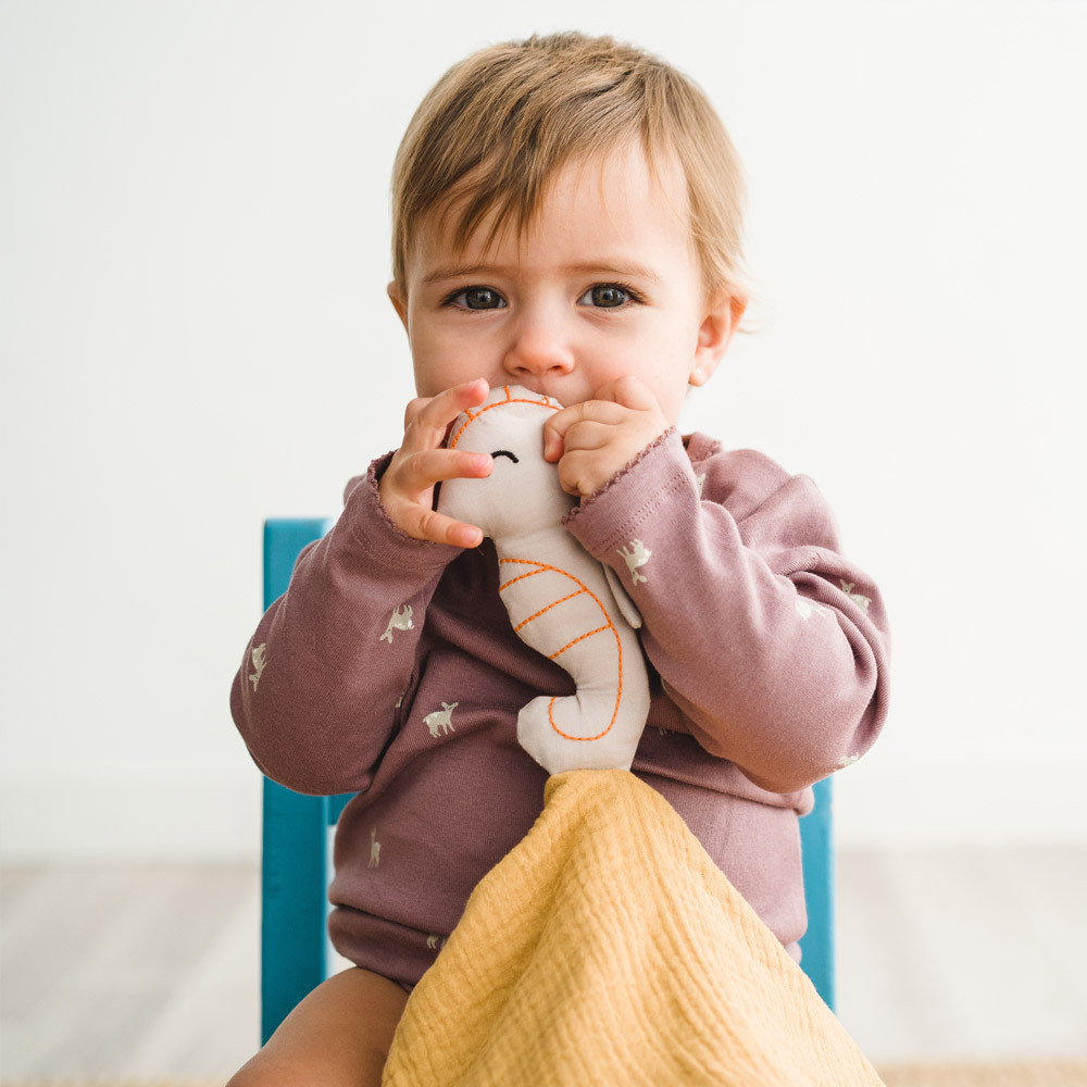 aPunt Barcelona | Knuffeldoekje Zeepaardje