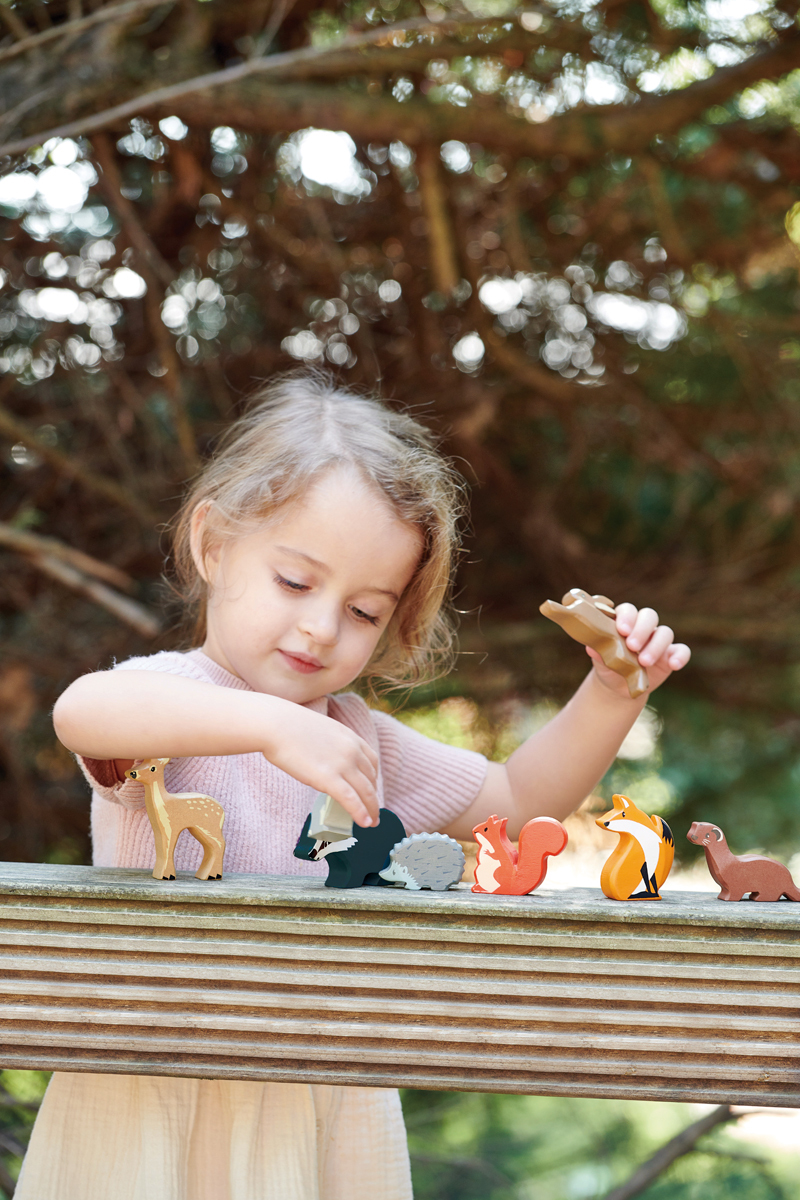 Tender Leaf Toys | Bosdieren Set