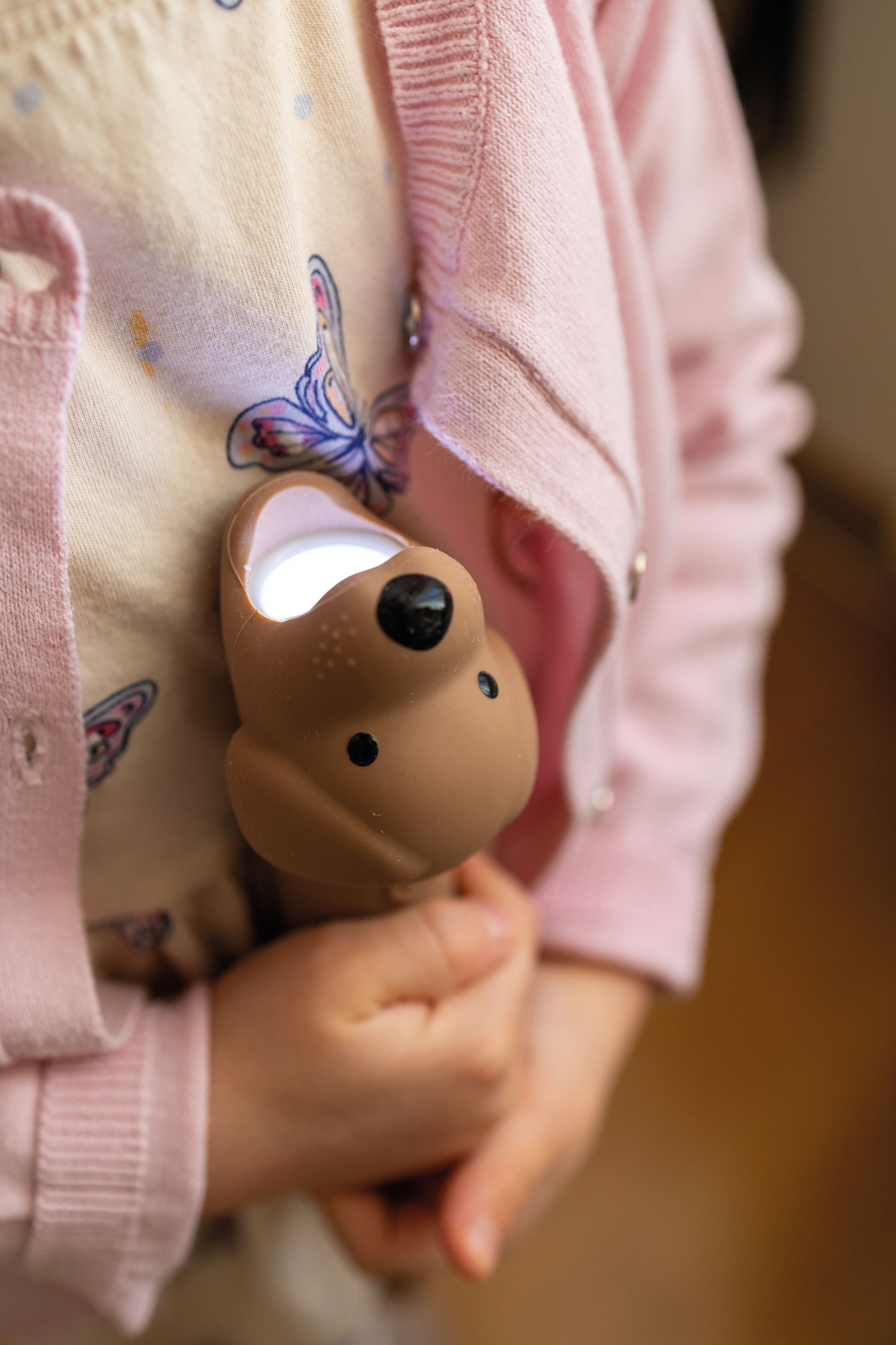 Rabbit & Friends | Zaklamp | Hond