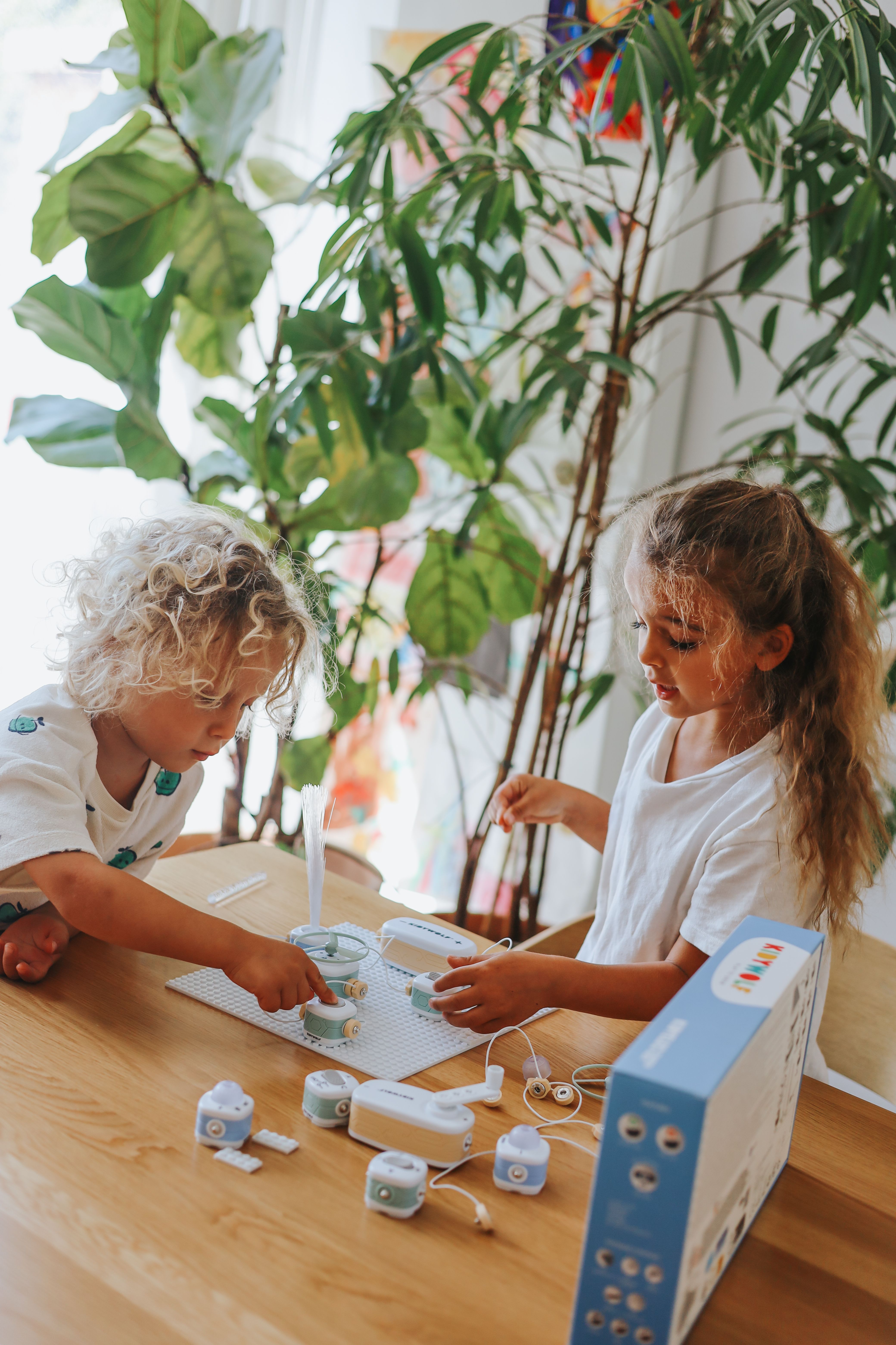 Kidywolf | Kidyelec | Expert