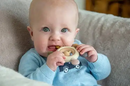 TickiT| Silisoft Rammelaar | Bijtspeelgoed | Aarde Kleuren