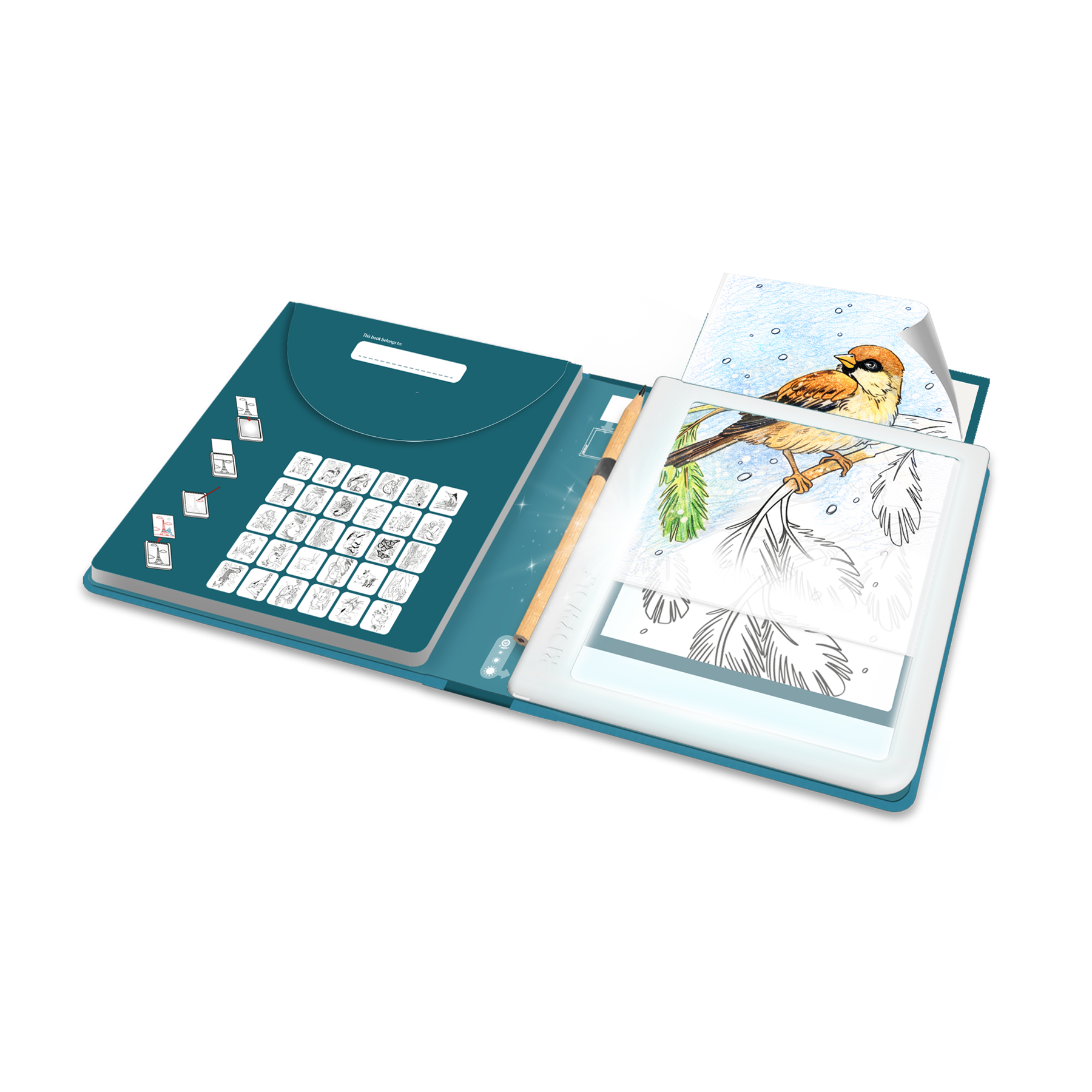 Kidywolf | Verlichte Tekenbord | K-Draw PAD | Dieren