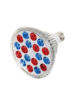 RubyLux™ All Red &amp; Blue Light LED Bulb - 2nd Generation 220V