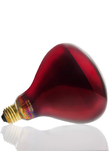 RubyLux NIR-A Near Infrared Bulb - Grade A 220V