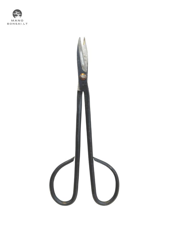 Sekator do przycinania bonsai D3