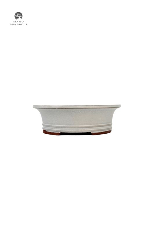 Doniczka bonsai owalna S