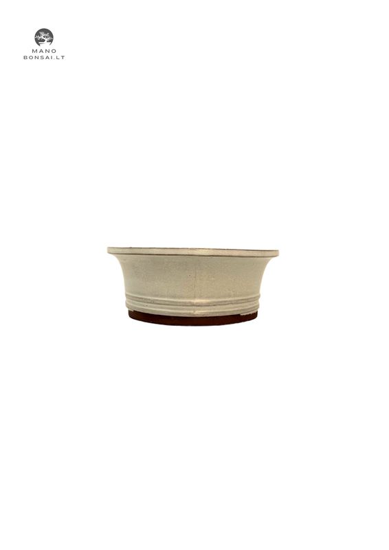 Doniczka bonsai owalna S