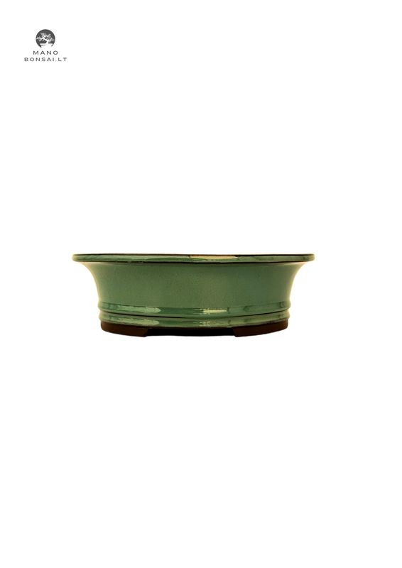 Doniczka bonsai owalna M