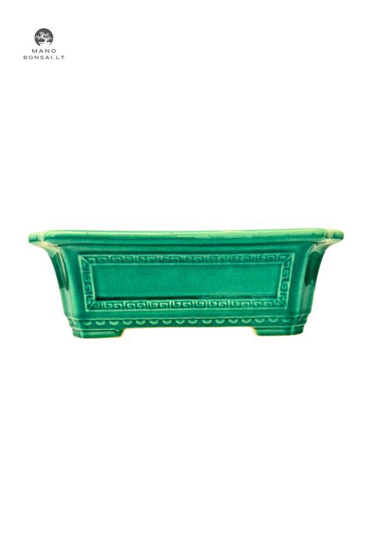 Doniczka bonsai L P32