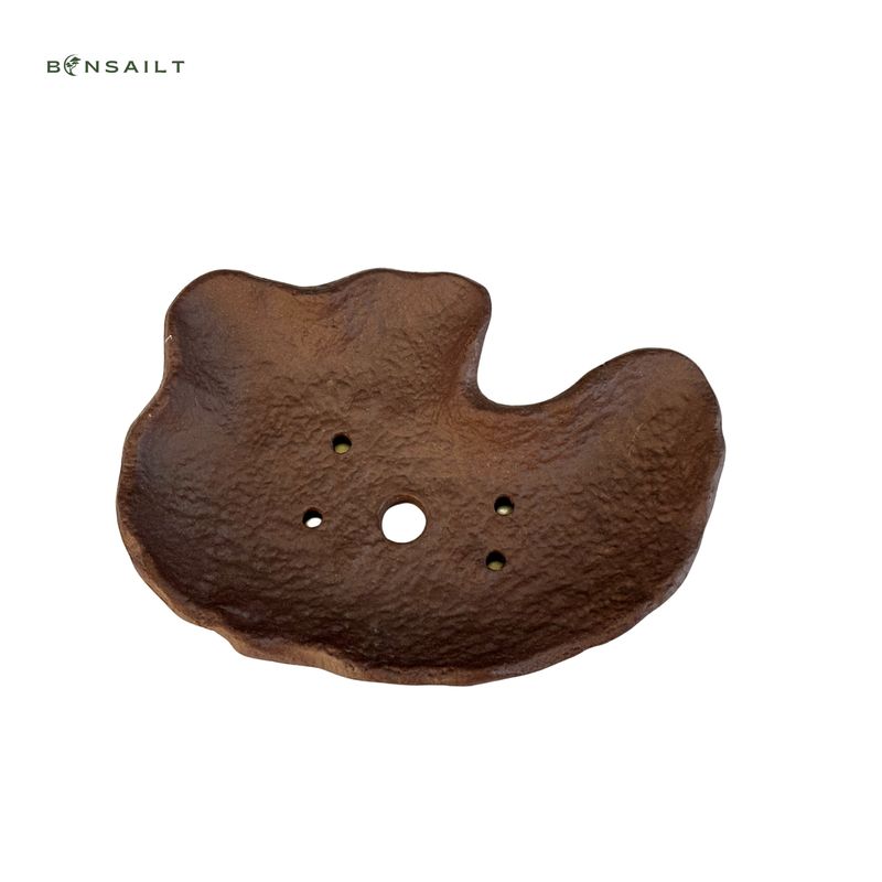 Doniczka bonsai w kształcie liścia P19