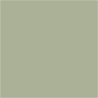 Fern Green Light 45119