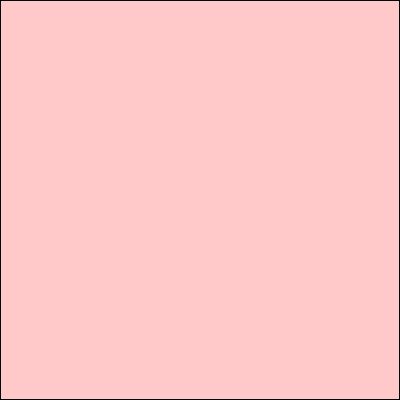 Salmon Light 45192