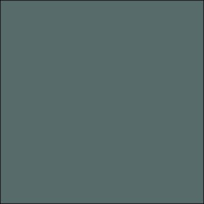 Gray Green Very Dark 45269