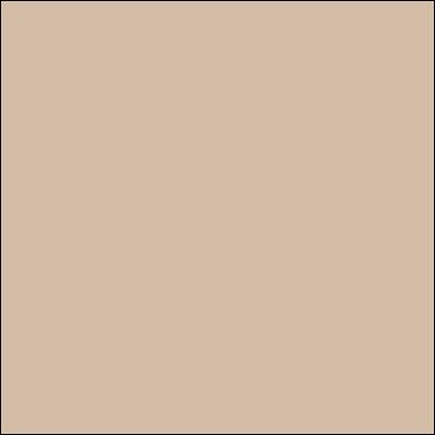 Mocha Brown Light 45394