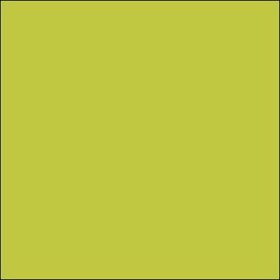 Moss Green Medium Light 45481